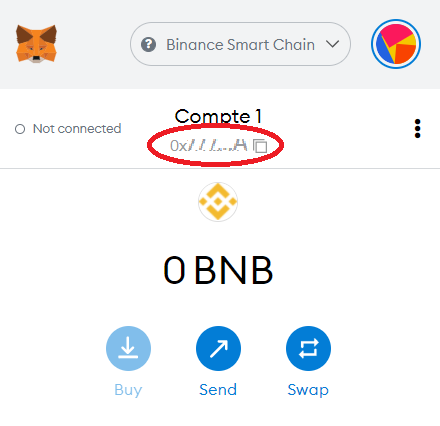 connect-metamask-bsc-7