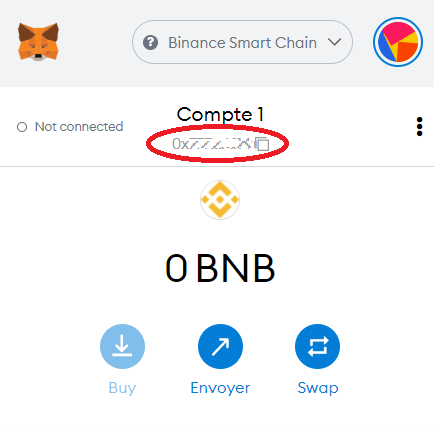 connecter-metamask-bsc-7